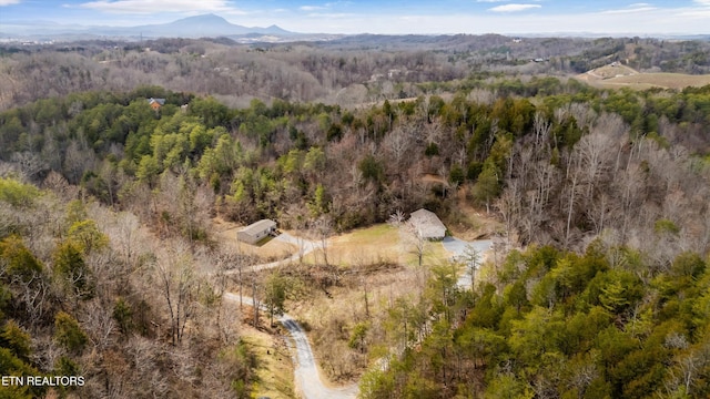 393 Lane Hollow Rd, Sevierville, TN 37876 - photo 35