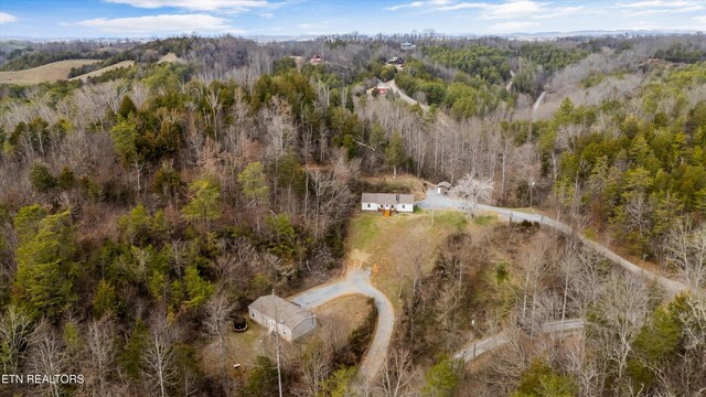 393 Lane Hollow Rd, Sevierville, TN 37876 - photo 34