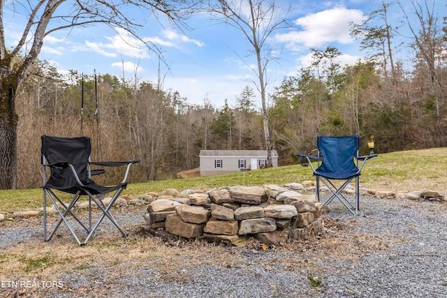 393 Lane Hollow Rd, Sevierville, TN 37876 - photo 28