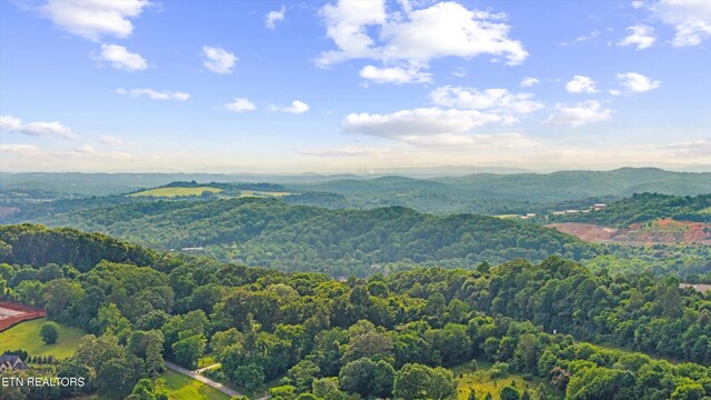 12433 Cotton Blossom Ln, Knoxville, TN 37934 - photo 40