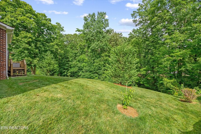 12433 Cotton Blossom Ln, Knoxville, TN 37934 - photo 32
