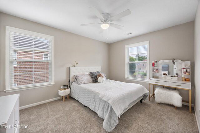 12433 Cotton Blossom Ln, Knoxville, TN 37934 - photo 22