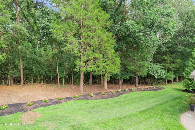 920 Andover View Ln, Knoxville, TN 37922 - view of green lawn