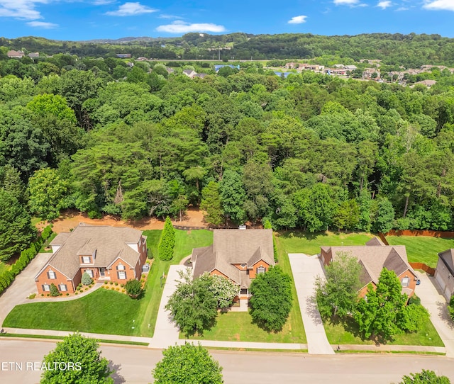920 Andover View Ln, Knoxville, TN 37922 - drone / aerial view of a forest