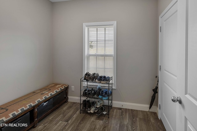 3038 Lazy River Dr, Knoxville, TN 37931 - misc room with dark wood-style floors