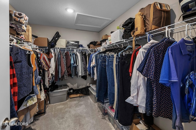 3038 Lazy River Dr, Knoxville, TN 37931 - walk in closet featuring attic access and carpet