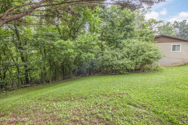 817 W Ridgecrest Dr, Kingston, TN 37763 - photo 43