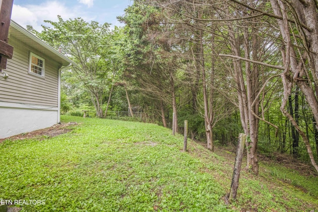 817 W Ridgecrest Dr, Kingston, TN 37763 - photo 42