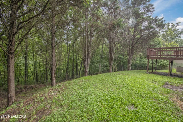 817 W Ridgecrest Dr, Kingston, TN 37763 - photo 47