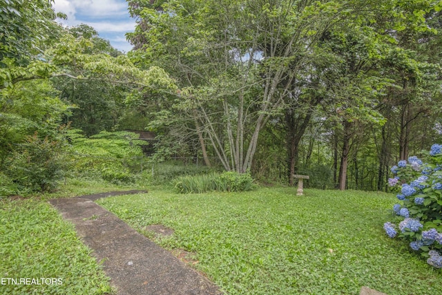 817 W Ridgecrest Dr, Kingston, TN 37763 - photo 49