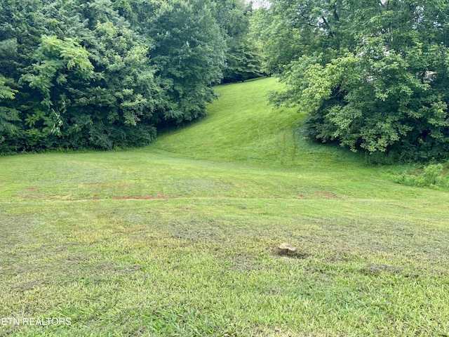 680 Ronald Dr, Talbott, TN 37877 - photo 30
