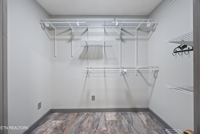 2991 Walden Flats Way, Sevierville, TN 37862 - view of spacious closet