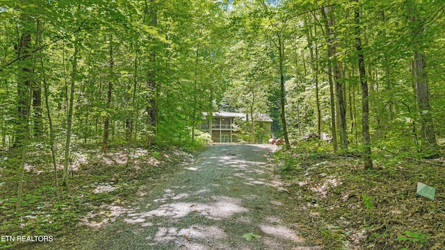 2991 Walden Flats Way, Sevierville, TN 37862 - view of dirt / gravel driveway with a wooded view