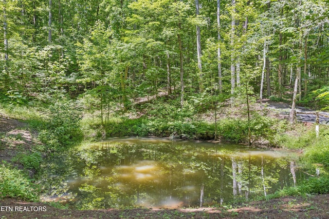 2991 Walden Flats Way, Sevierville, TN 37862 - view of undeveloped land