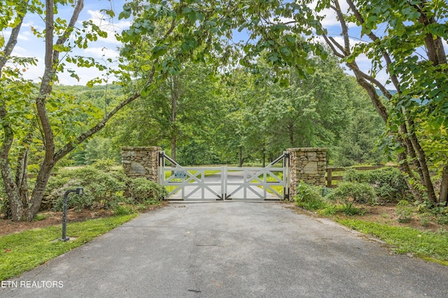 2991 Walden Flats Way, Sevierville, TN 37862 - view of gate