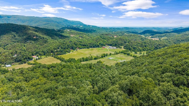 2991 Walden Flats Way, Sevierville, TN 37862 - drone / aerial view of a forest and a mountain backdrop