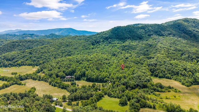 2991 Walden Flats Way, Sevierville, TN 37862 - aerial view of a heavily wooded area and a mountainous background