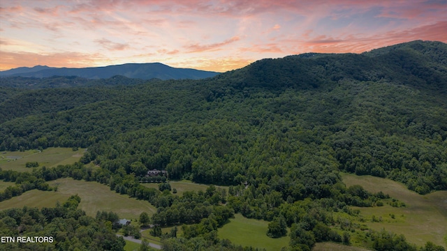 2991 Walden Flats Way, Sevierville, TN 37862 - view of mountain background with a heavily wooded area