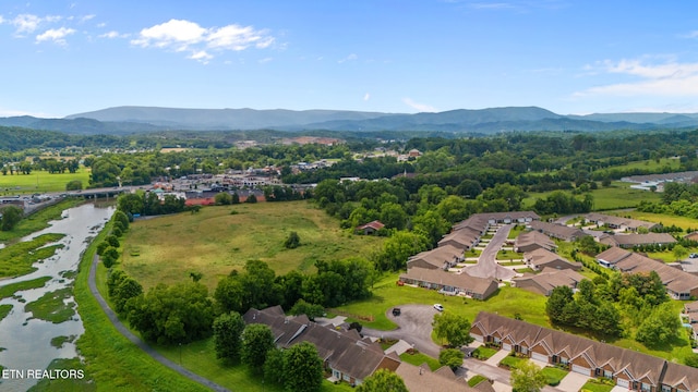 244 River Garden Ct, Sevierville, TN 37862 - photo 19
