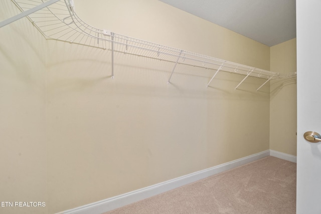 244 River Garden Ct, Sevierville, TN 37862 - photo 30