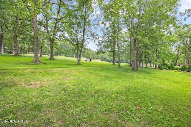 103 Wickham Ln, Fairfield Glade, TN 38558 - view of green lawn with view of scattered trees