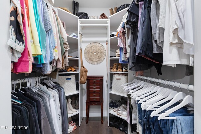 9401 Shirley Ann Rd, Kodak, TN 37764 - walk in closet featuring wood finished floors