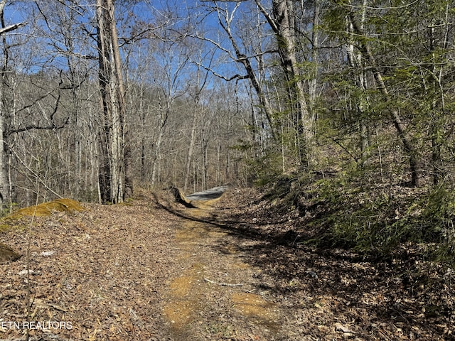 Melvin Hollow Rd, Pioneer, TN 37847