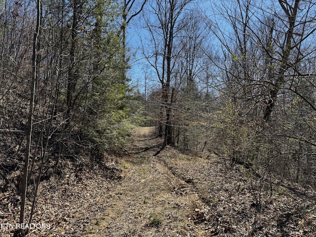 Melvin Hollow Rd, Pioneer, TN 37847