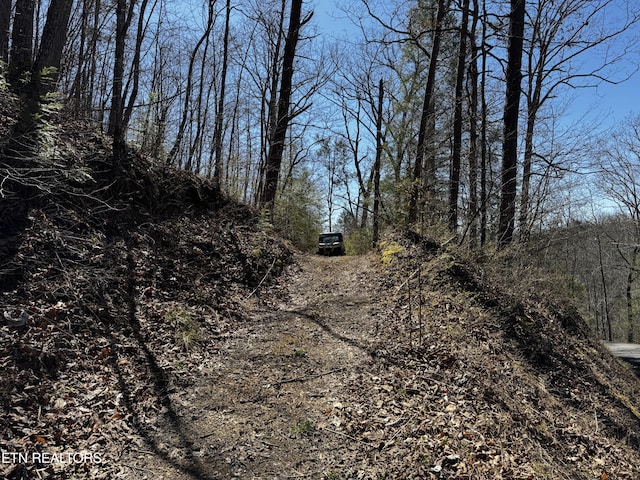 Melvin Hollow Rd, Pioneer, TN 37847