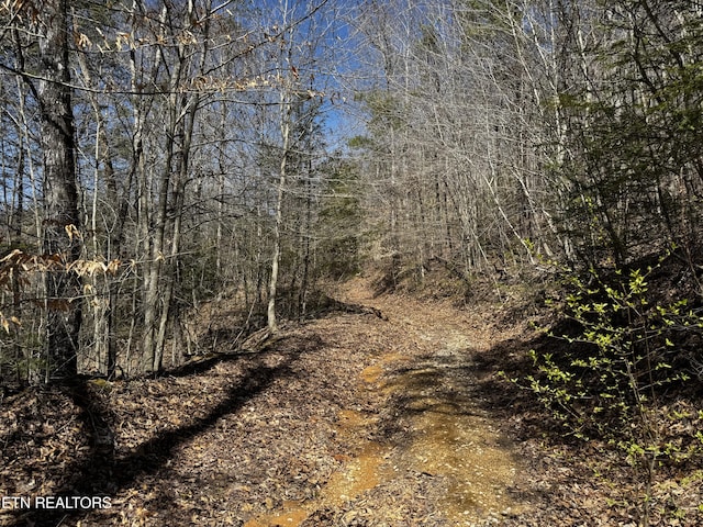 Melvin Hollow Rd, Pioneer, TN 37847