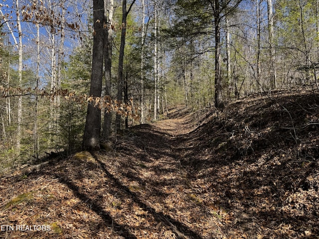 Melvin Hollow Rd, Pioneer, TN 37847
