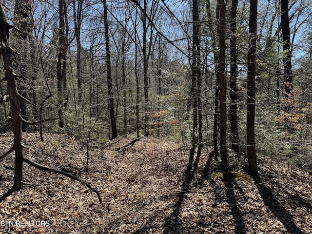 Melvin Hollow Rd, Pioneer, TN 37847