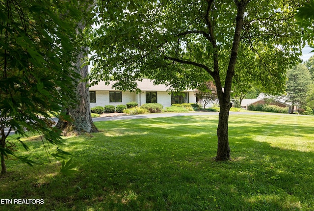 5413 Riverbend Dr, Knoxville, TN 37919 - photo 3