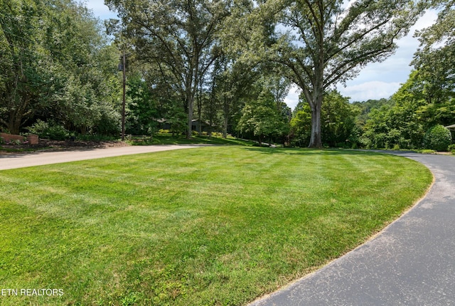 5413 Riverbend Dr, Knoxville, TN 37919 - photo 40