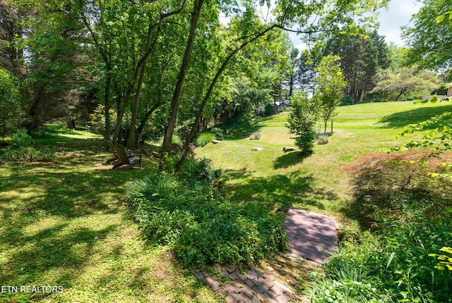 5413 Riverbend Dr, Knoxville, TN 37919 - photo 48
