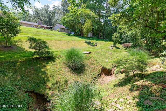 5413 Riverbend Dr, Knoxville, TN 37919 - photo 50