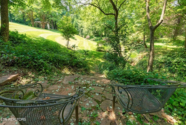 5413 Riverbend Dr, Knoxville, TN 37919 - photo 51