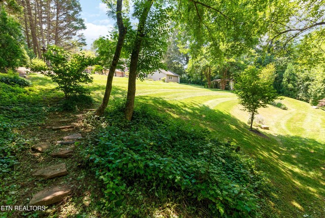 5413 Riverbend Dr, Knoxville, TN 37919 - photo 52
