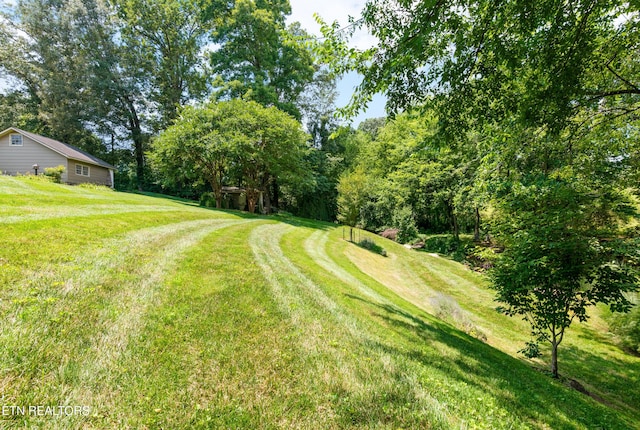 5413 Riverbend Dr, Knoxville, TN 37919 - photo 53