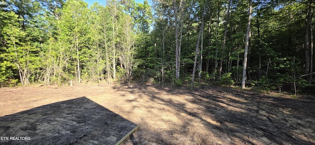 2333 Arrow Trl, Monterey, TN 38574 - view of yard featuring a view of trees