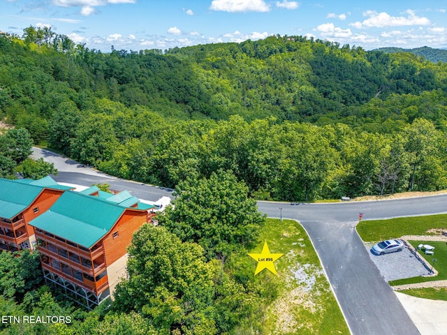 3274 Lonesome Pine Way, Sevierville, TN 37862