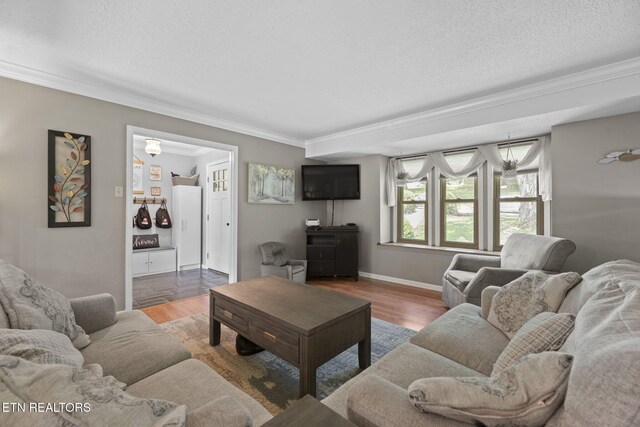 1536 Blackwood Dr, Knoxville, TN 37923 - photo 7