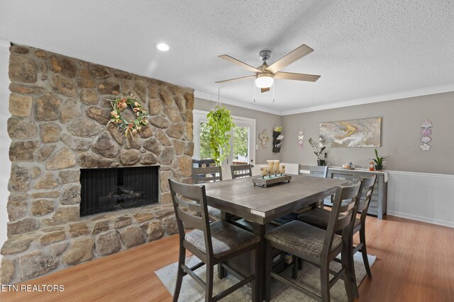 1536 Blackwood Dr, Knoxville, TN 37923 - photo 10