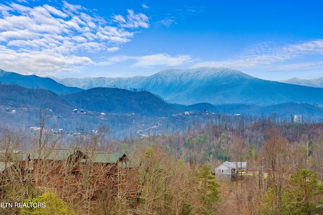 880 Great Smoky Way, Gatlinburg, TN 37738 - photo 3