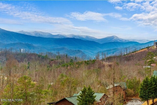 880 Great Smoky Way, Gatlinburg, TN 37738 - photo 44