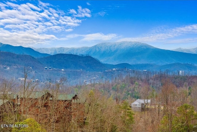 880 Great Smoky Way, Gatlinburg, TN 37738 - photo 45
