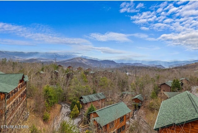 880 Great Smoky Way, Gatlinburg, TN 37738 - photo 46