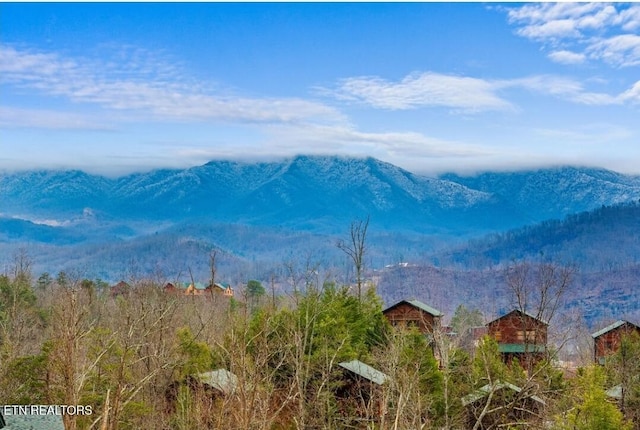 880 Great Smoky Way, Gatlinburg, TN 37738 - photo 49