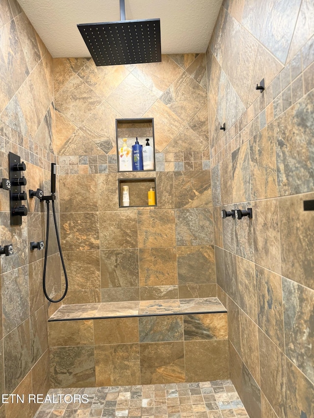 1659 Cherohala Skwy, Tellico Plains, TN 37385 - full bath with tiled shower