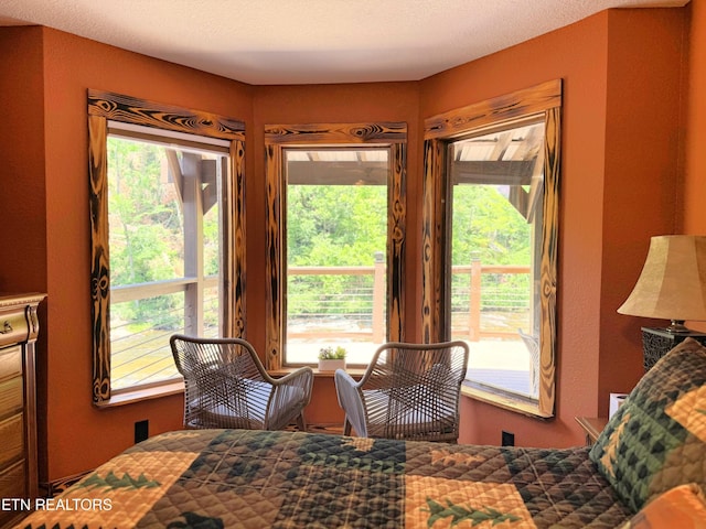 1659 Cherohala Skwy, Tellico Plains, TN 37385 - bedroom featuring access to exterior and multiple windows